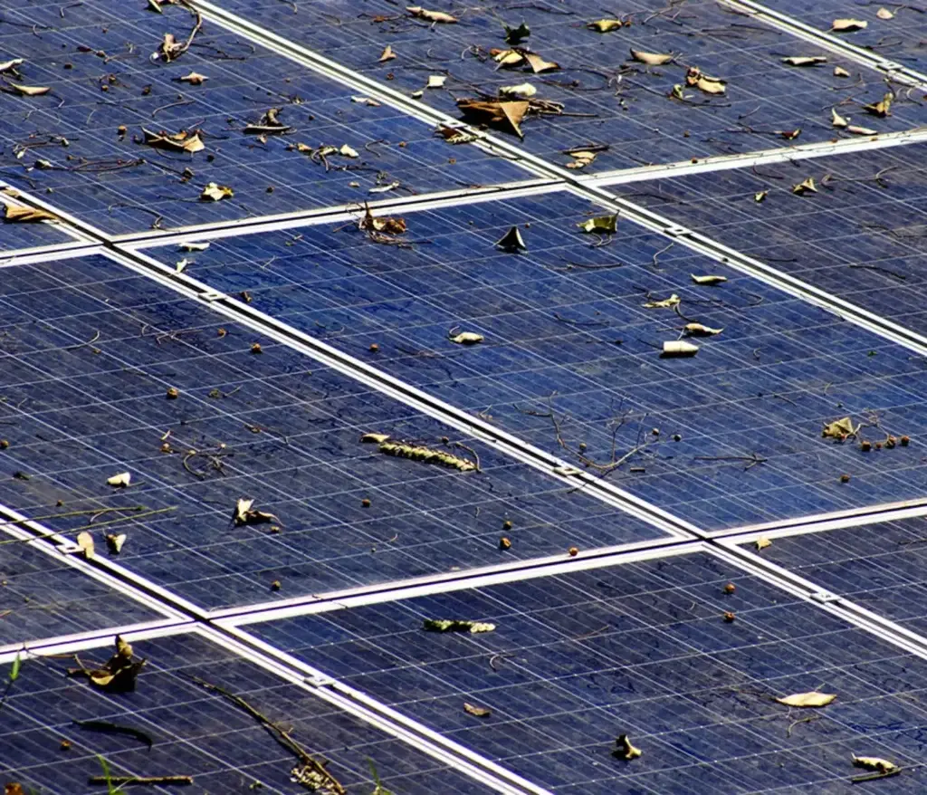 Panels Get Dirty in Tacoma